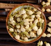 鮮茉莉花怎么炮制成茶？