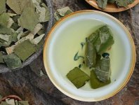 荷葉茶為什么叫短命茶？